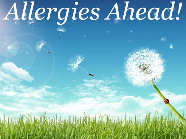 Allergies Ahead-resized-600