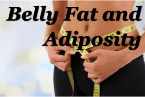 Belly fat and adiposity w text
