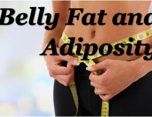 Belly Fat and Adiposity